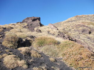 nte Pizzillo-21-10-2012 08-49-04